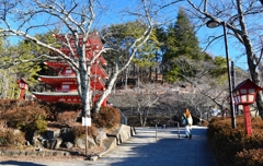 公園にて2
