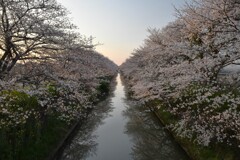 独り占め
