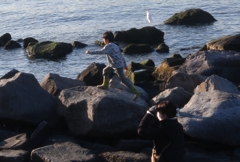 親子＆一羽