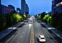 歩道橋から