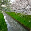 くっきり