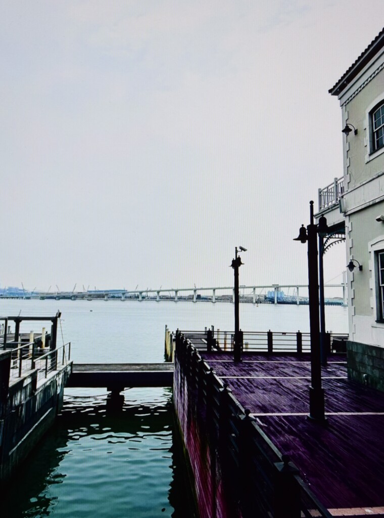 海近く
