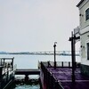 海近く