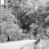 寺院へ
