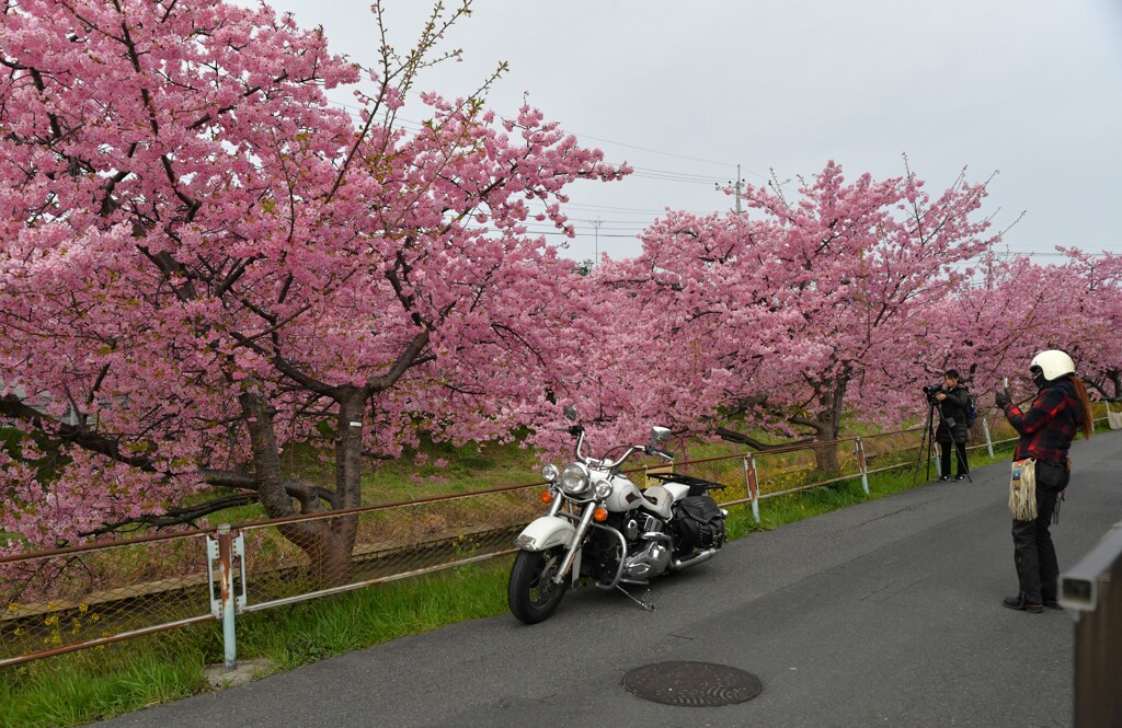 一緒に