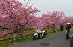 一緒に