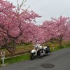 一緒に