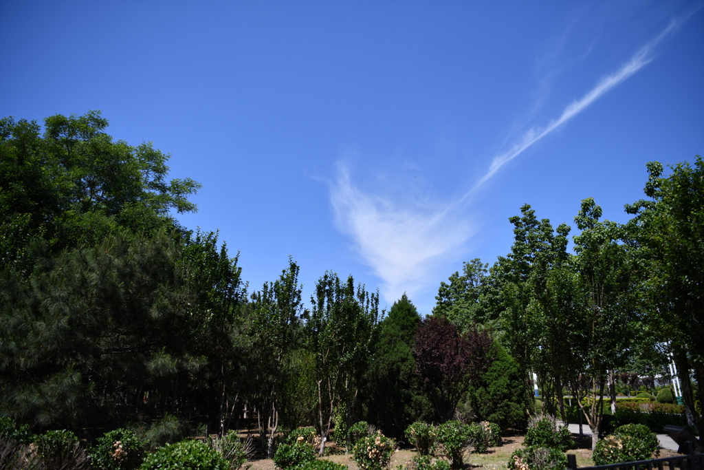 公園にて