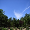 公園にて