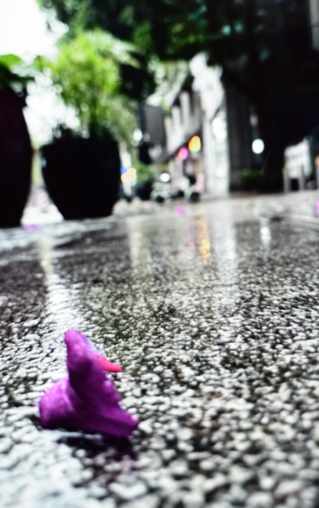 下から