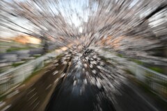 飛2 