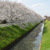 お昼にて