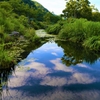 水面