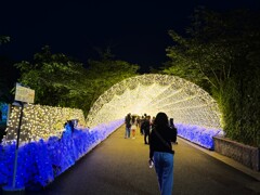 トンネルへ