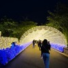 トンネルへ