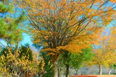公園にて