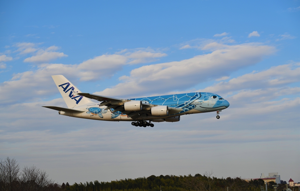 数年ぶりの飛行機撮影2
