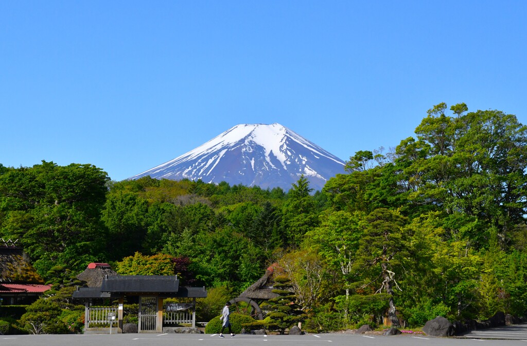 望む