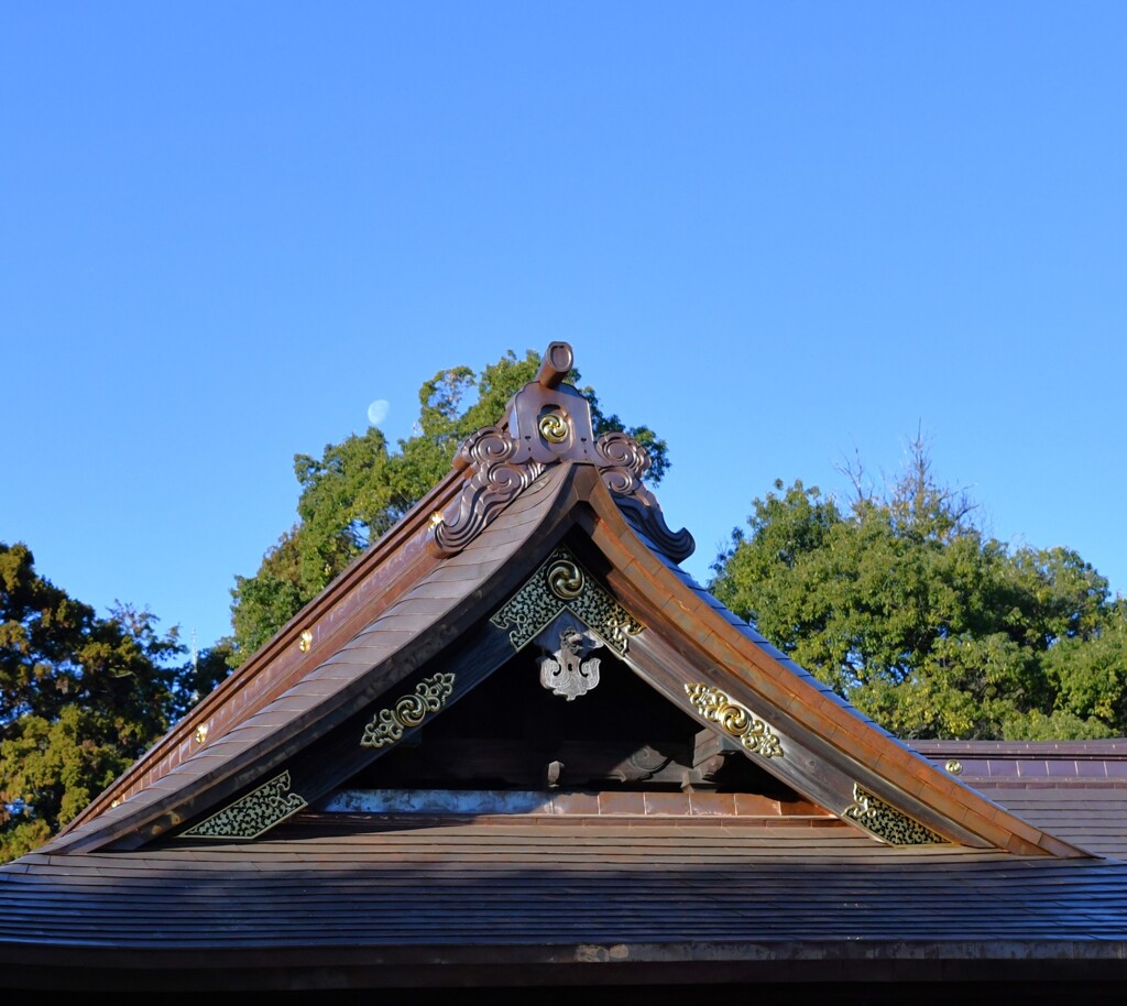 月と