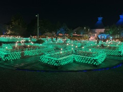 イルミの中