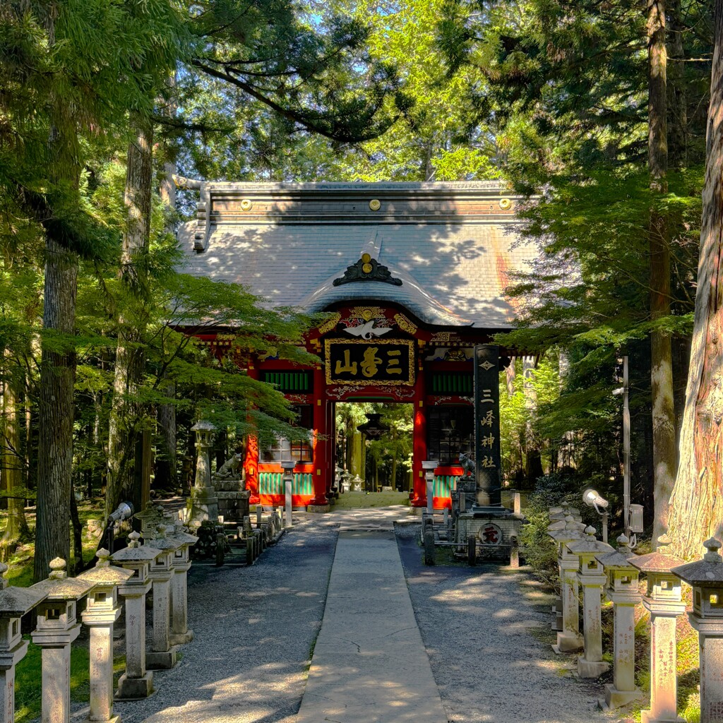 随身門