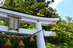 鳥居
