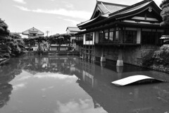 池にて