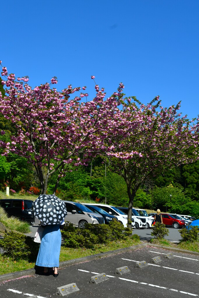 見入る by akisuzu （ID：13547997） - 写真共有サイト:PHOTOHITO