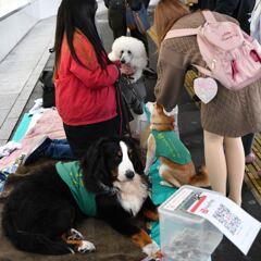 セラピードッグ(^^)