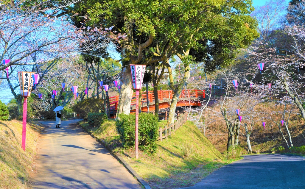 さくらまつり前