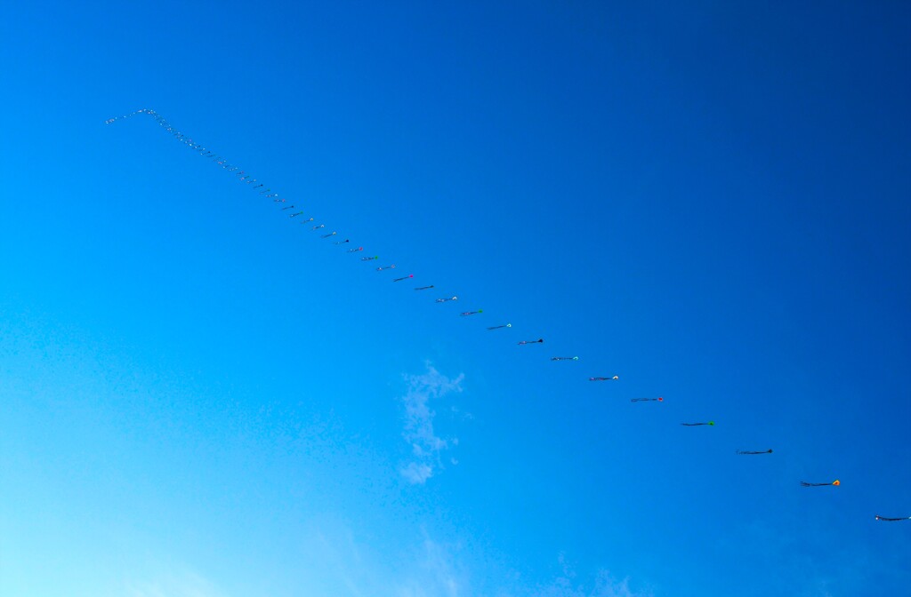空高く