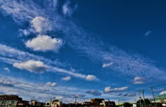 秋空