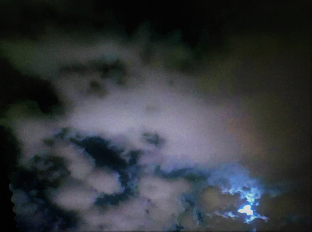 強風の夜
