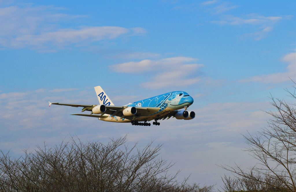 数年ぶりの飛行機撮影3