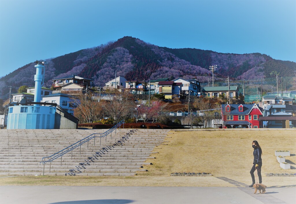春待ち遠しい