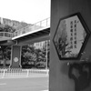 散歩にて