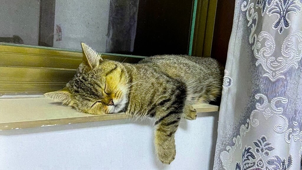 ぐっすり