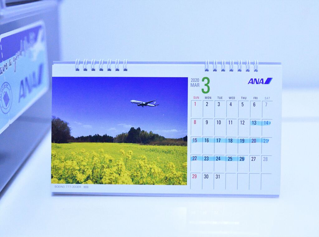 自宅隔離最終日