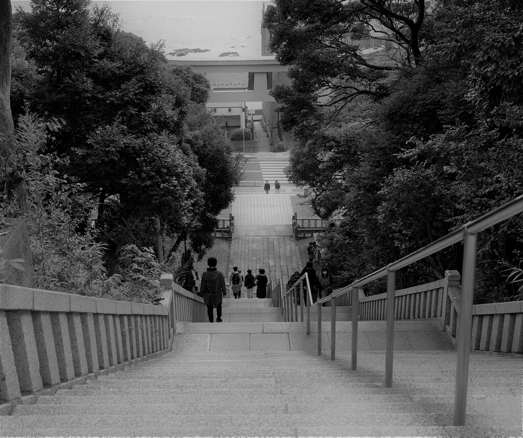 上から