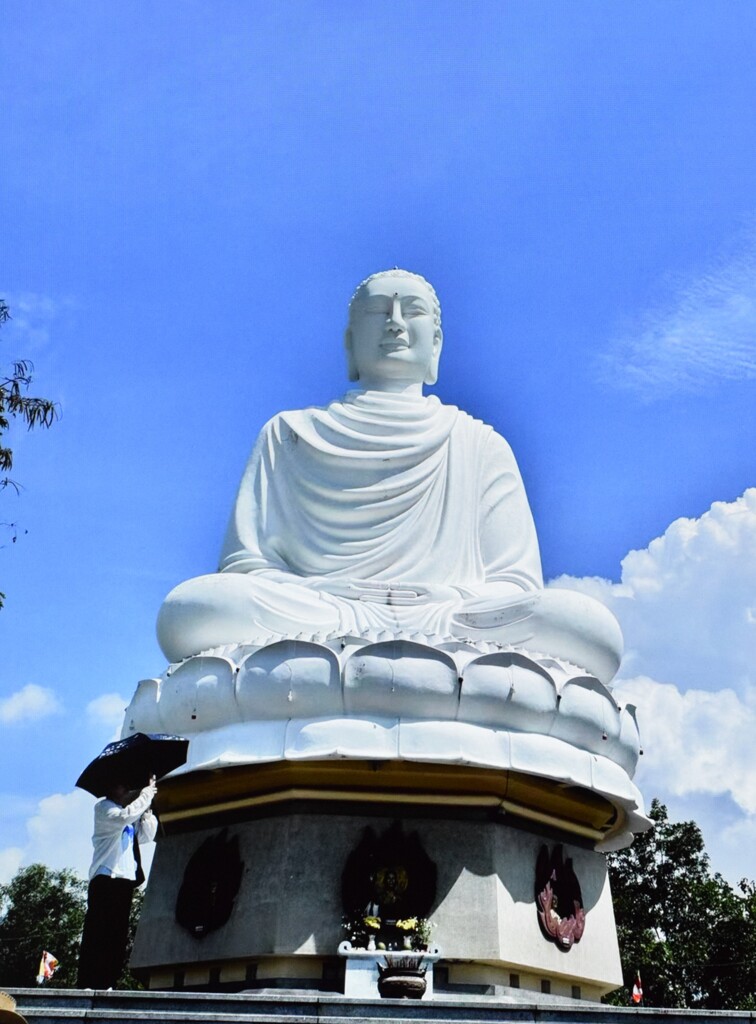 近くから