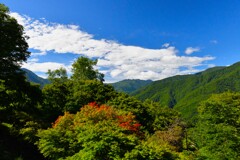 ちょい紅色