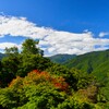 ちょい紅色