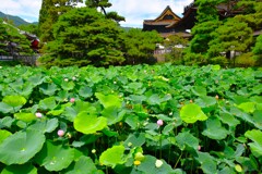 池にて