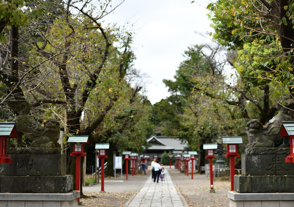 神社にて