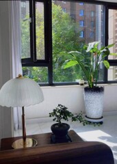 部屋から