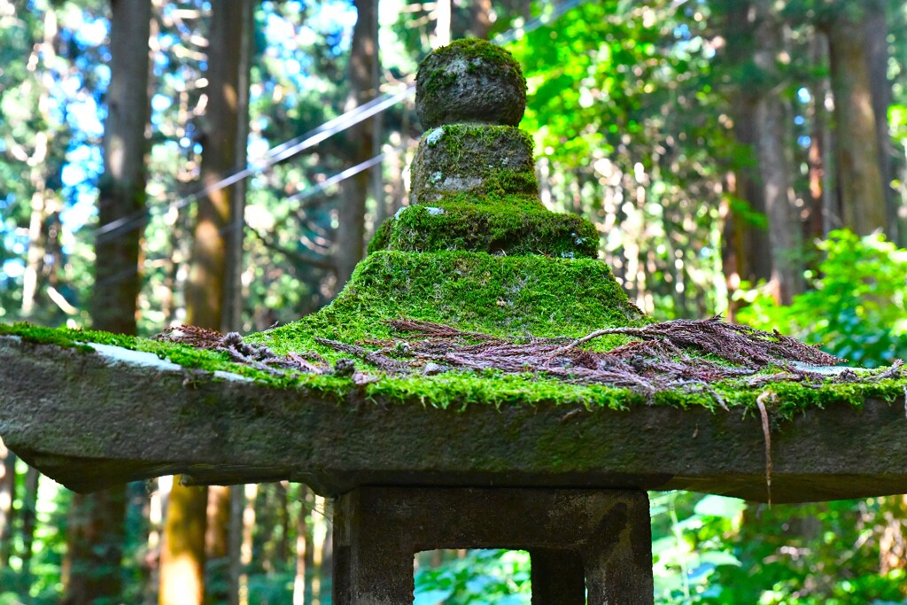 積