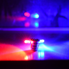光る眼の正体