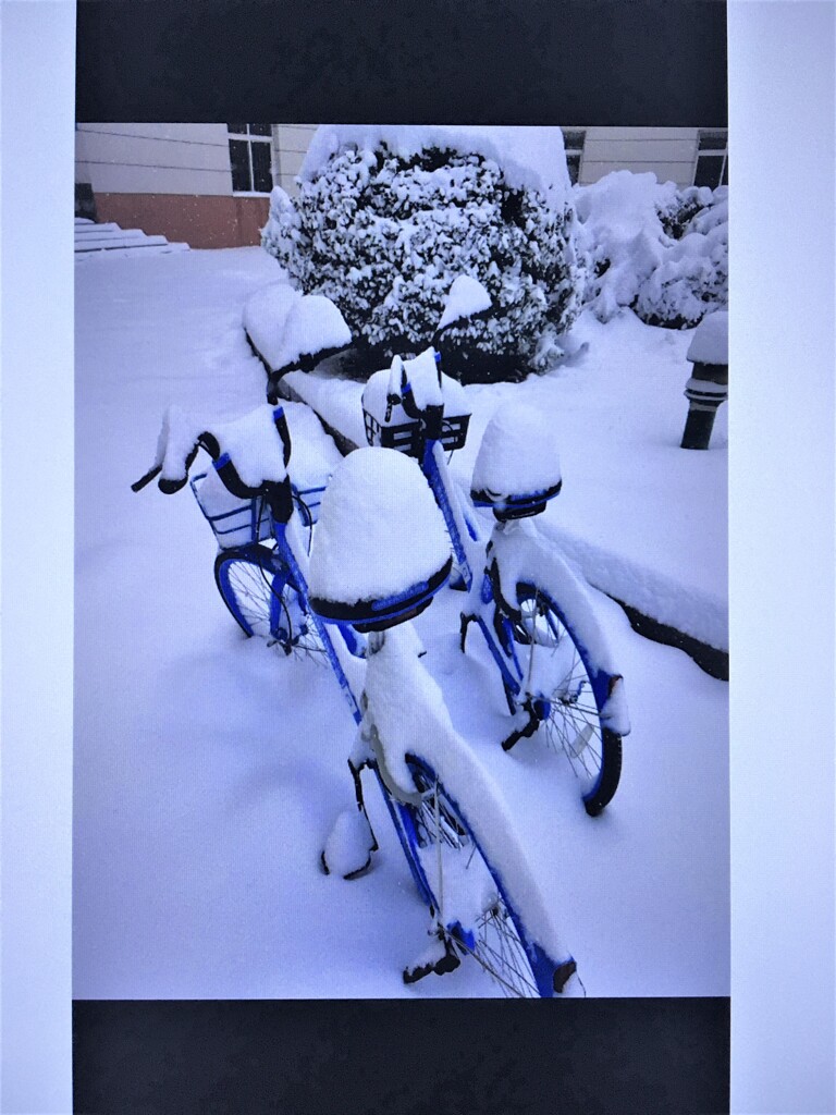 こんもり