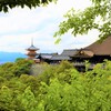 青葉と