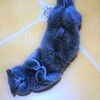 可愛いヤツ